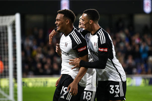 动与组织 动与组织